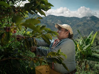Fairtrade-fika på jobbet - ett steg mot en hållbar framtid
