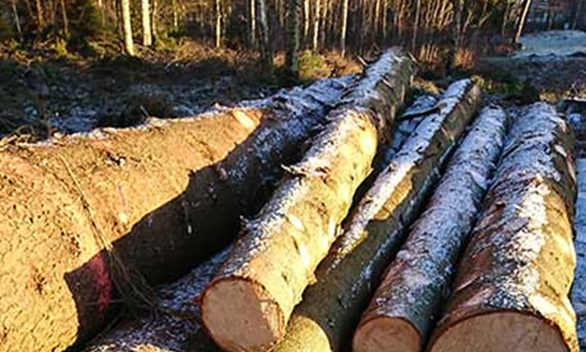 Kan skogsindustrins restströmmar bidra till ett grönare stål?