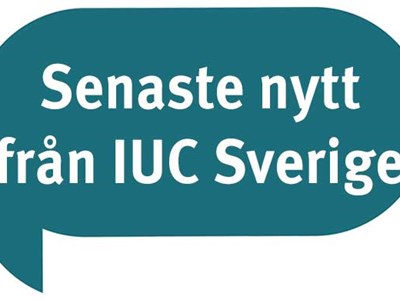 Nyhetsbrev från IUC Sverige juni 2021