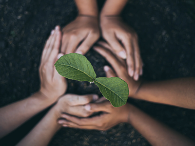 Fokusgrupp Hållbart företagande – hur berör det mig och min verksamhet?