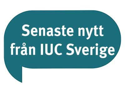 Nyhetsbrev från IUC Sverige